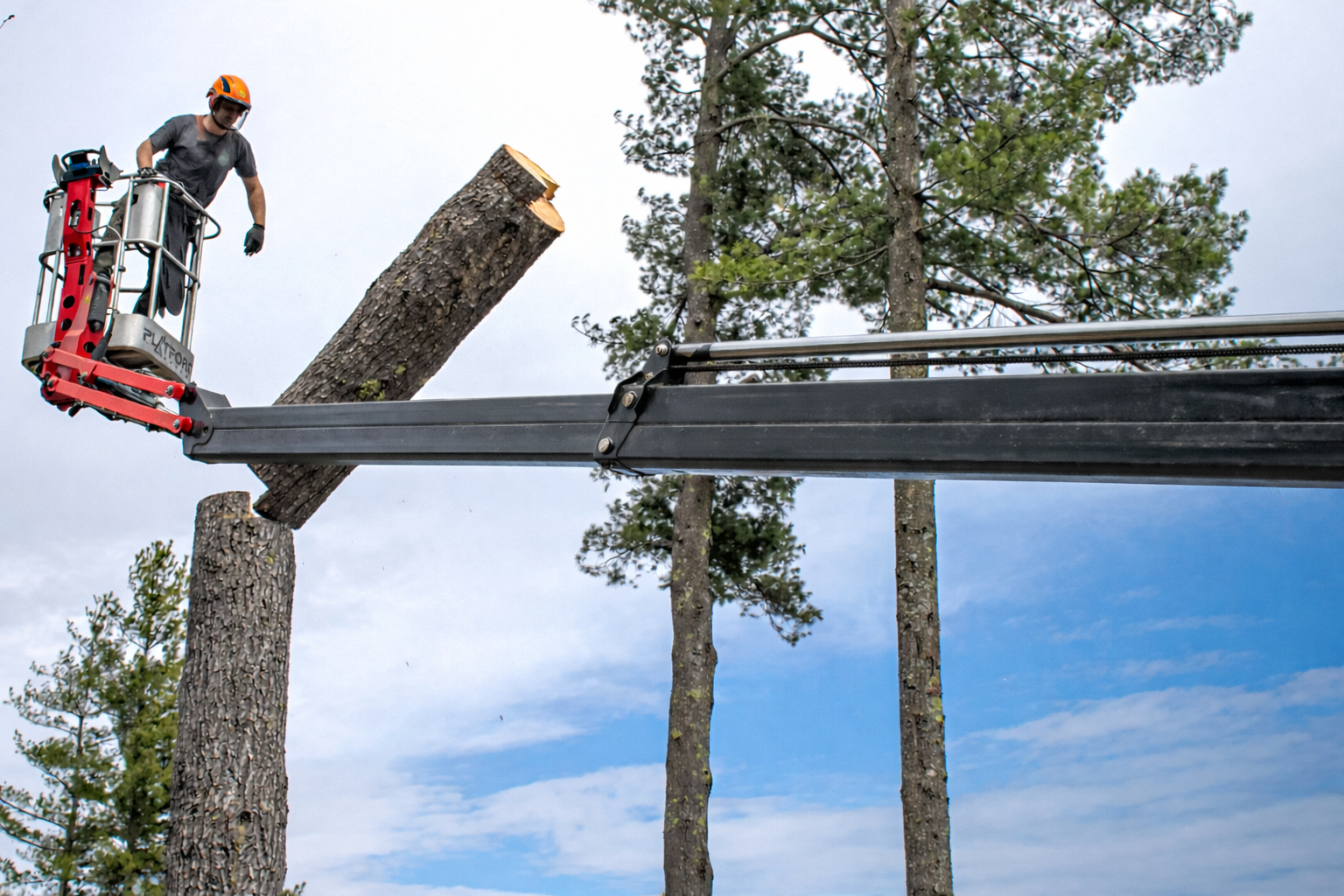 Island Tree Services